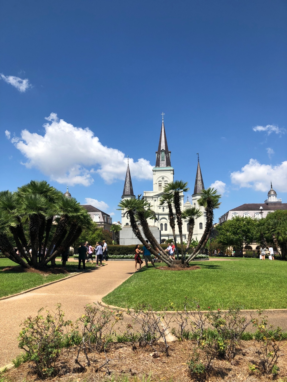 best things to do in New Orleans | top New Orleans activities | budget travel 